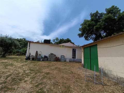 Quinta T2 Venda em Penamacor,Penamacor