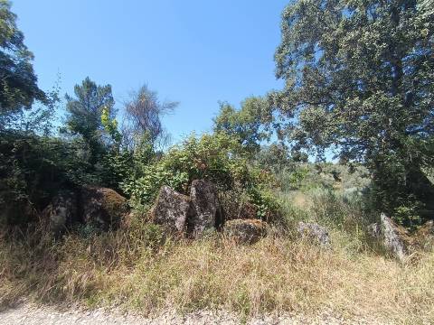 Terreno Rústico em Águas, Penamacor