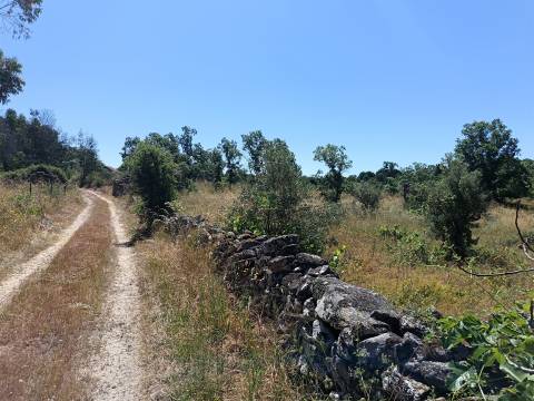 Terreno Rústico em Águas, Penamacor