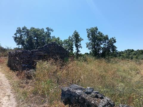 Terreno Rústico em Águas, Penamacor