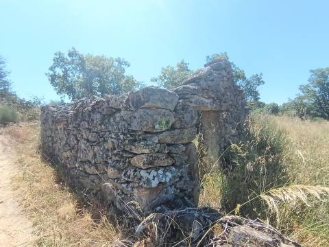Terreno Rústico em Águas, Penamacor