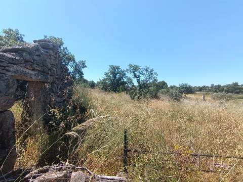 Terreno Rústico em Águas, Penamacor