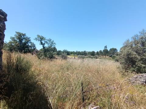 Terreno Rústico em Águas, Penamacor