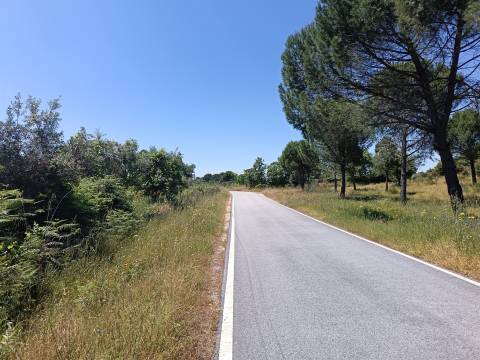 Terreno Rústico em Águas, Penamacor