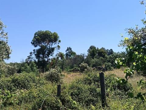 Terreno Rústico em Águas, Penamacor