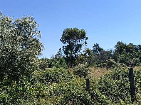 Terreno Rústico em Águas, Penamacor