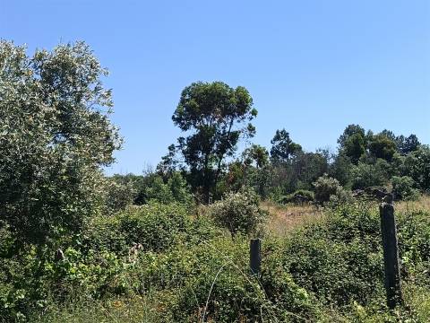 Terreno Rústico em Águas, Penamacor