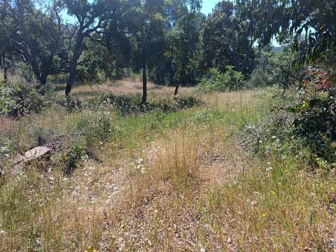 Terreno rústico em águas, Penamacor