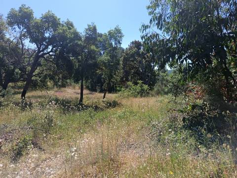 Terreno rústico em águas, Penamacor