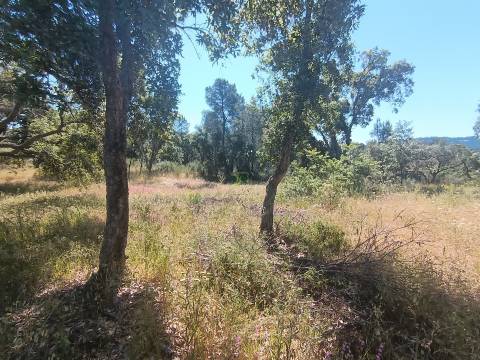 Terreno rústico em águas, Penamacor