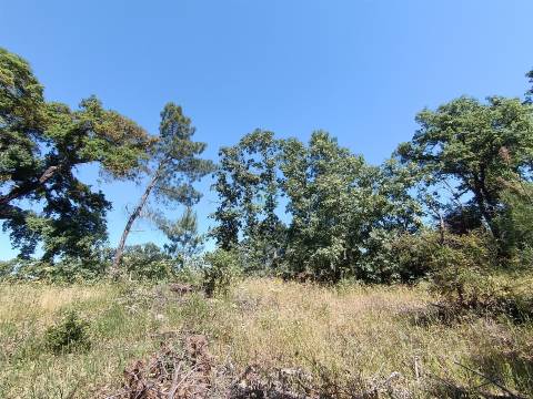 Terreno rústico em águas, Penamacor