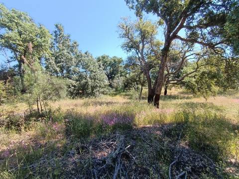 Terreno rústico em águas, Penamacor