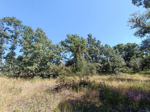Terreno rústico em águas, Penamacor