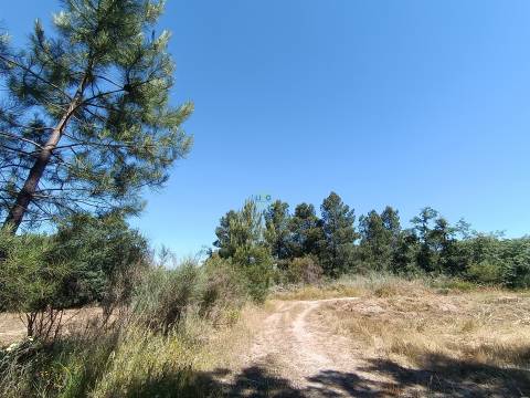 Terreno rústico em águas, Penamacor