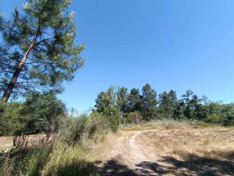 Terreno rústico em águas, Penamacor