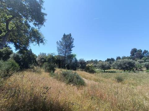 Terreno rústico em águas, Penamacor