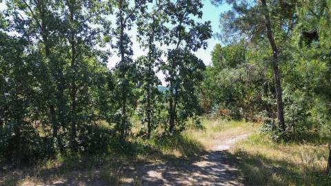 Terreno rústico em águas, Penamacor