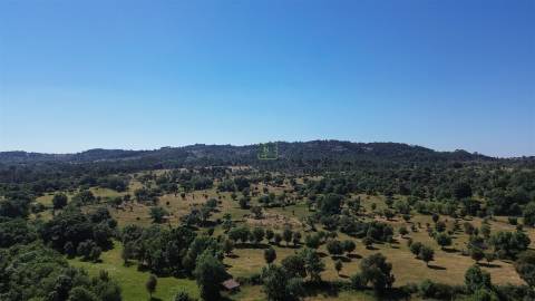 Terreno rústico em águas, Penamacor