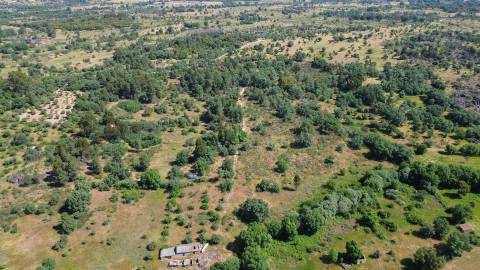 Terreno rústico em águas, Penamacor