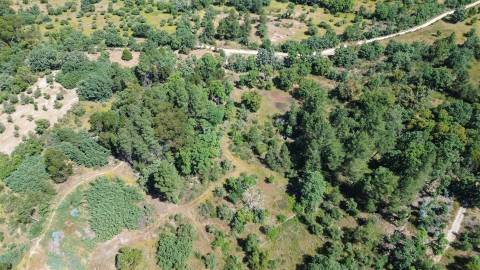 Terreno rústico em águas, Penamacor