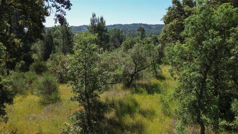 Terreno rústico em águas, Penamacor