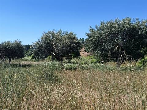 Terreno rústico na Fonte Santa, em Águas, Penamacor