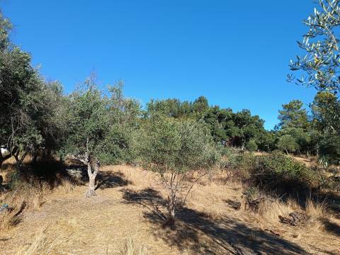 Terreno rústico na Fonte Santa, em Águas, Penamacor