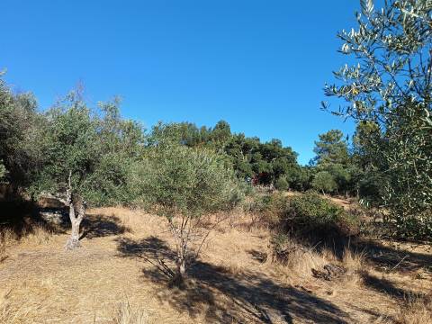 Terreno rústico na Fonte Santa, em Águas, Penamacor