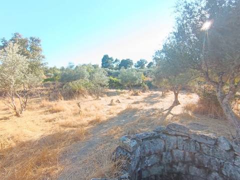 Terreno rústico na Fonte Santa, em Águas, Penamacor