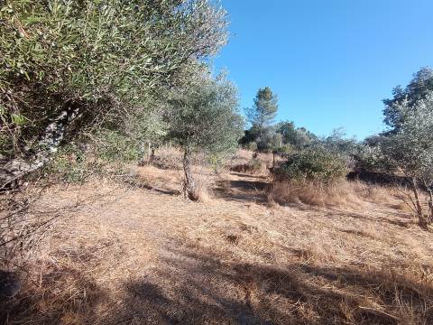 Terreno rústico na Fonte Santa, em Águas, Penamacor