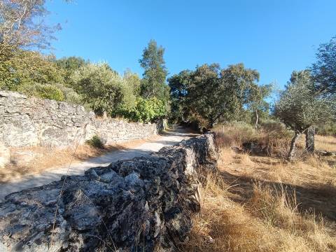 Terreno rústico na Fonte Santa, em Águas, Penamacor