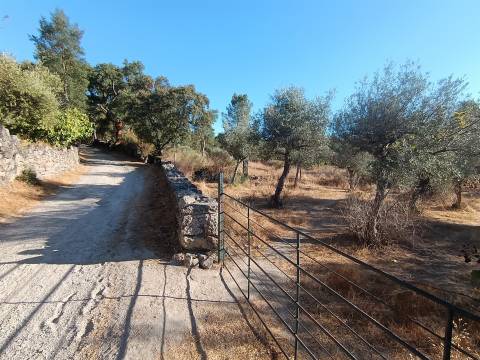 Terreno rústico na Fonte Santa, em Águas, Penamacor