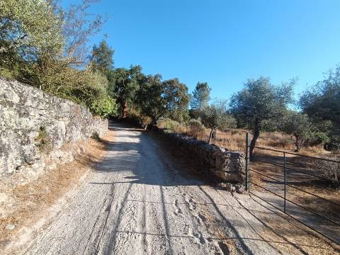 Terreno rústico na Fonte Santa, em Águas, Penamacor