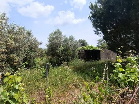 Terreno Rústico em Águas, Penamacor