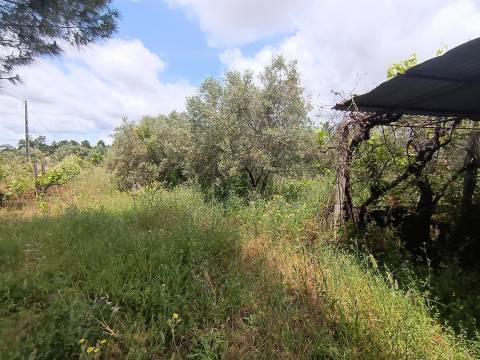 Terreno Rústico em Águas, Penamacor