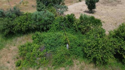 Terreno Rústico em Águas, Penamacor