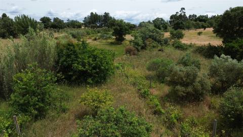 Terreno Rústico em Águas, Penamacor