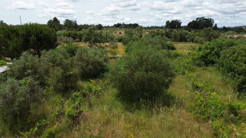 Terreno Rústico em Águas, Penamacor