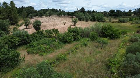 Terreno Rústico em Águas, Penamacor