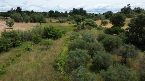 Terreno Rústico em Águas, Penamacor
