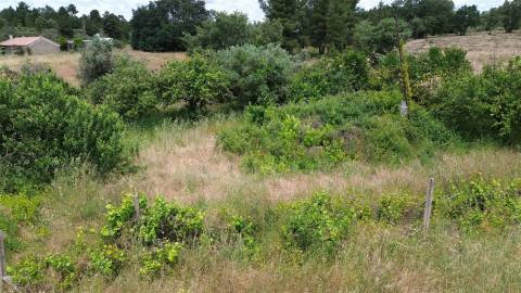 Terreno Rústico em Águas, Penamacor
