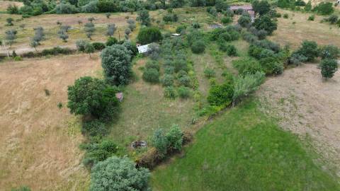 Terreno Rústico em Águas, Penamacor