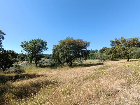 Terreno Rústico  Venda em Monsanto e Idanha-a-Velha,Idanha-a-Nova
