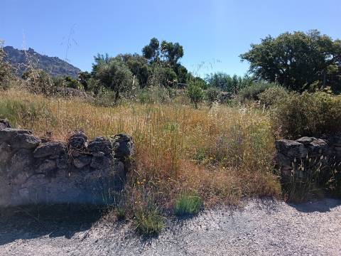 Terreno Rústico  Venda em Monsanto e Idanha-a-Velha,Idanha-a-Nova
