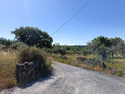Terreno Rústico  Venda em Monsanto e Idanha-a-Velha,Idanha-a-Nova