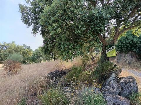 Terreno Rústico  Venda em Monsanto e Idanha-a-Velha,Idanha-a-Nova
