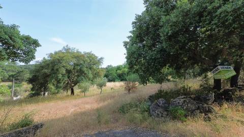 Terreno Rústico  Venda em Monsanto e Idanha-a-Velha,Idanha-a-Nova