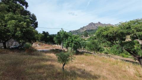 Terreno Rústico  Venda em Monsanto e Idanha-a-Velha,Idanha-a-Nova