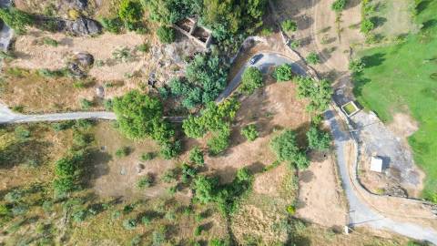 Terreno Rústico  Venda em Monsanto e Idanha-a-Velha,Idanha-a-Nova