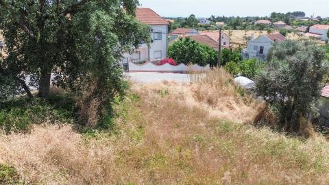 Terreno com Viabilidade de Construção no Sobral do Campo – Viva com Tranquilidade, Perto da Cidade!
